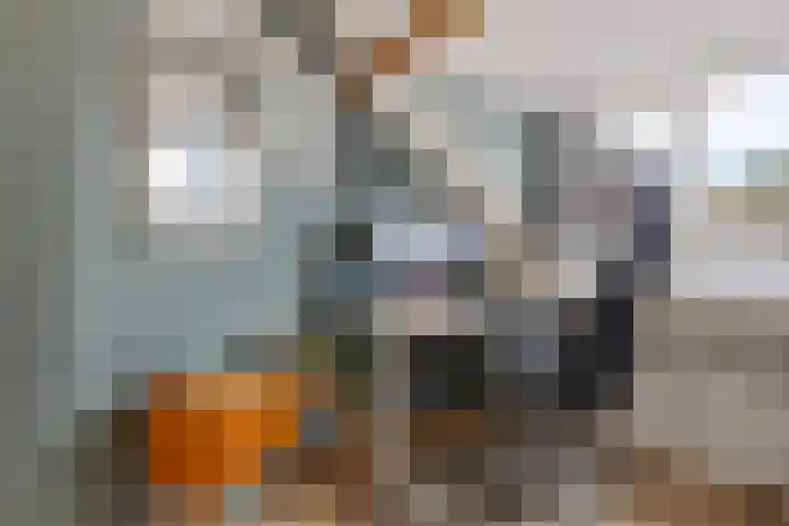 Jasonstraat 53 1 Amsterdam thumbnail 33