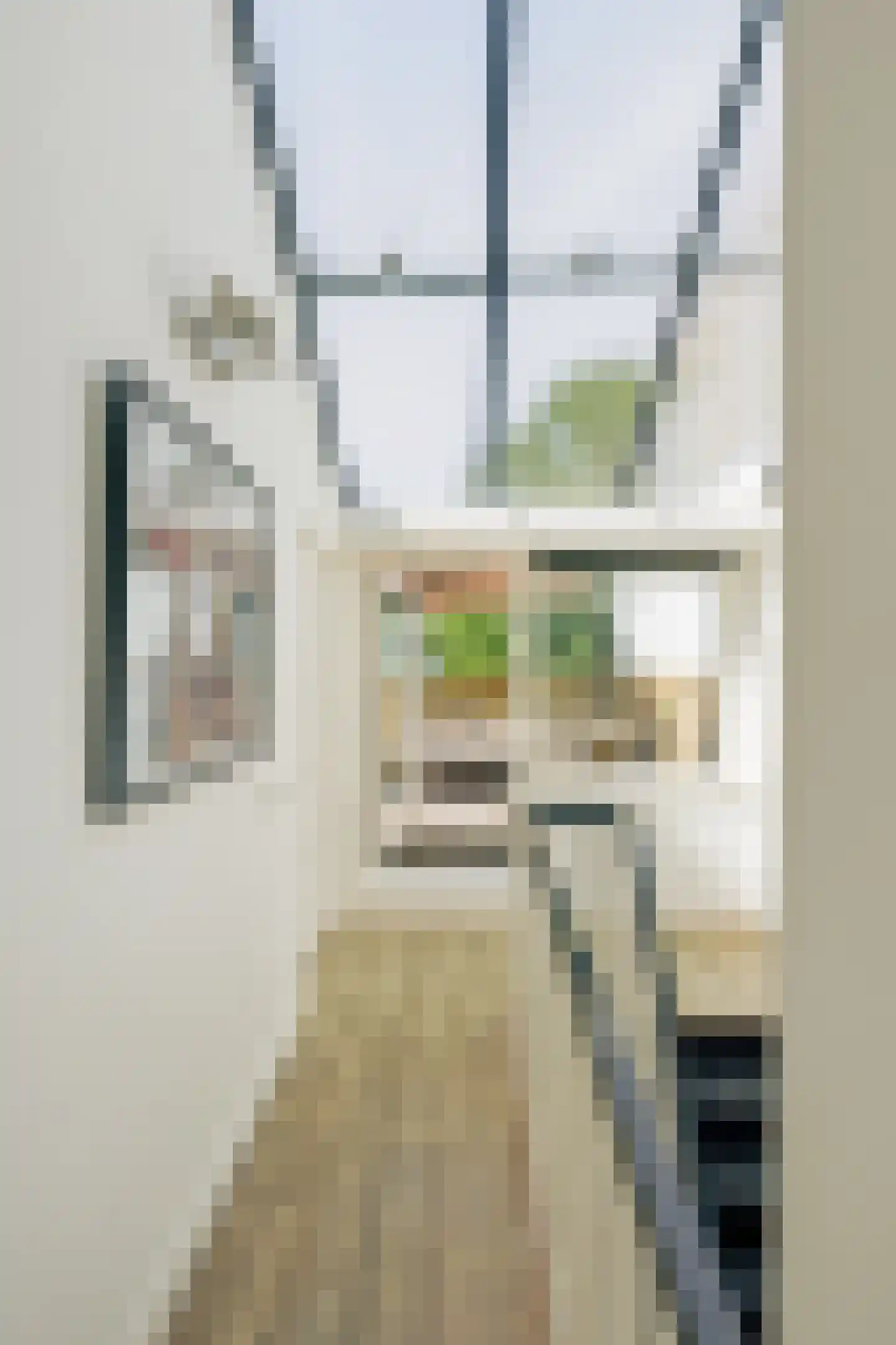 Jasper Leijnsenstraat 10 3 Amsterdam thumbnail 29