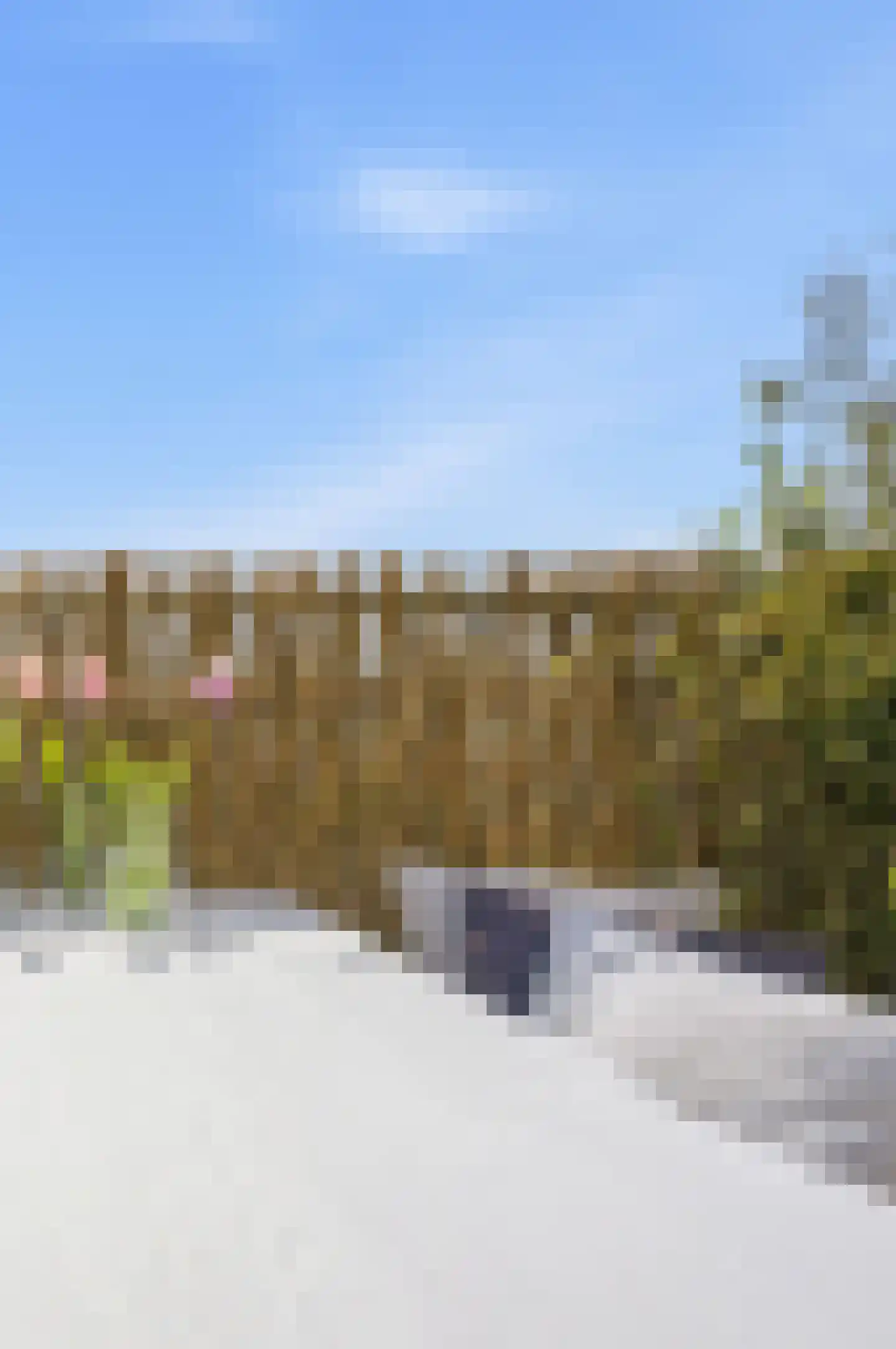 Jasper Leijnsenstraat 10 3 Amsterdam thumbnail 32