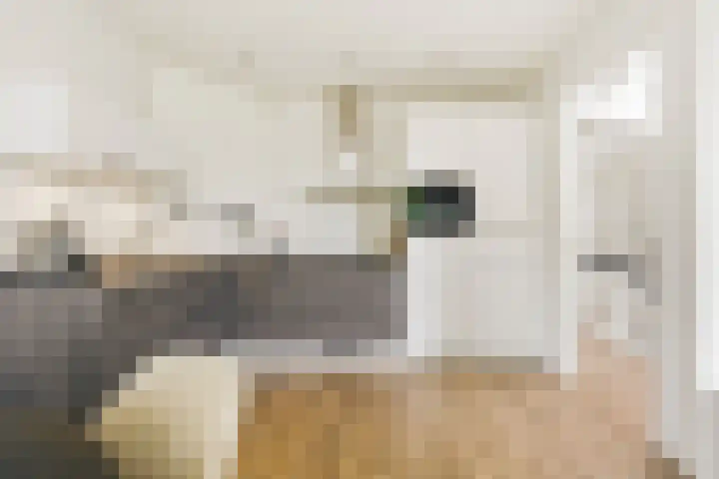 Jasper Leijnsenstraat 10 3 Amsterdam thumbnail 7
