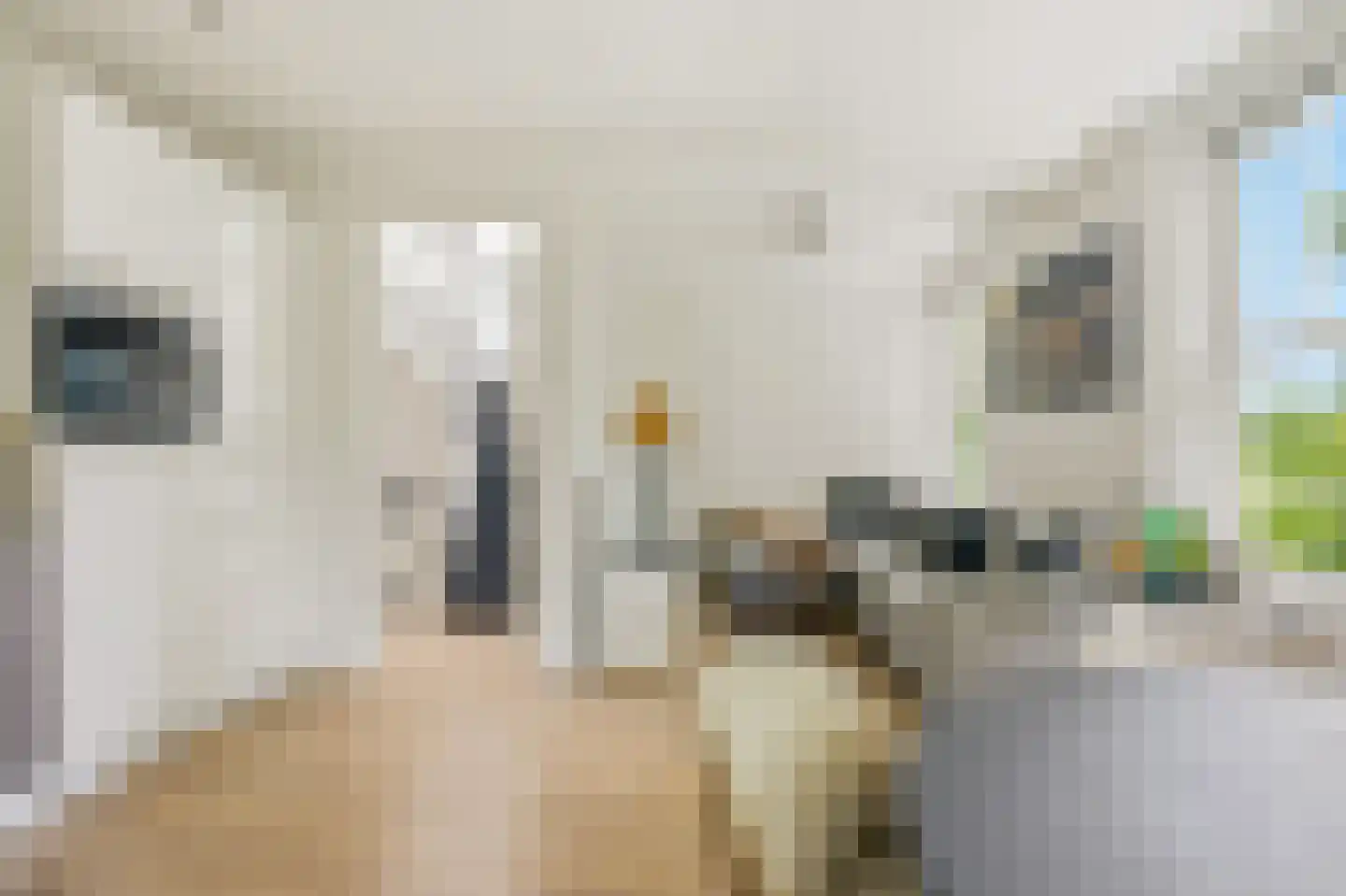Jasper Leijnsenstraat 10 3 Amsterdam thumbnail 8