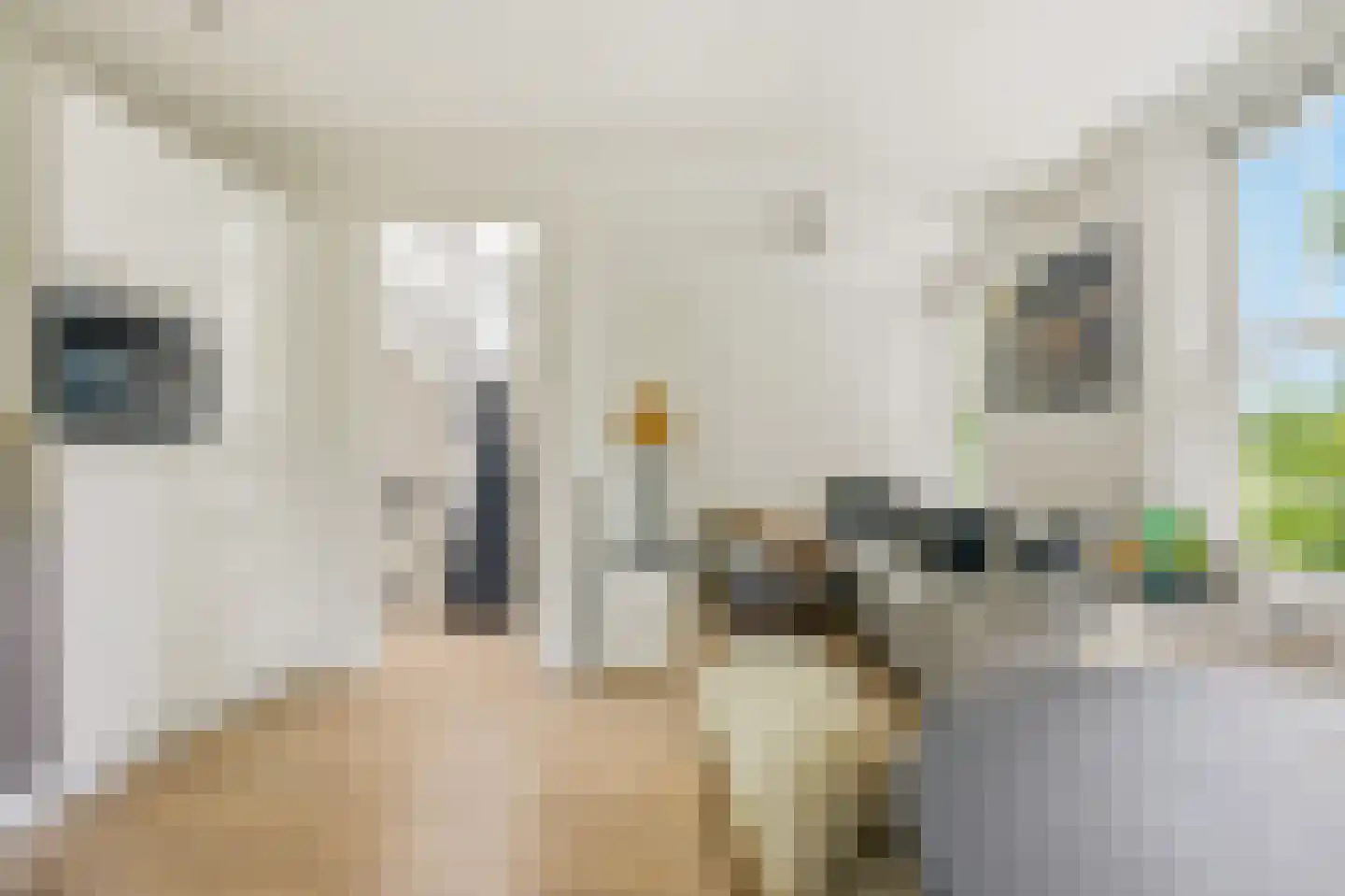 Jasper Leijnsenstraat 10 3 Amsterdam thumbnail 8