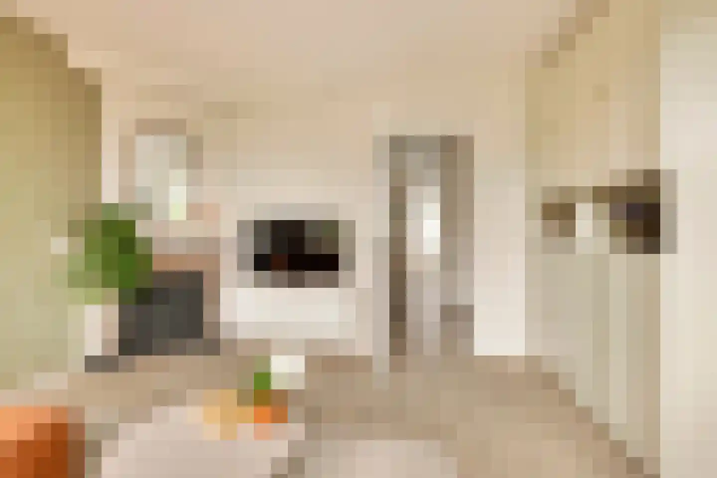 Jasper Leijnsenstraat 2 2 Amsterdam thumbnail 11