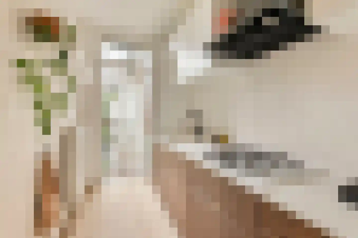 Jasper Leijnsenstraat 2 2 Amsterdam thumbnail 12