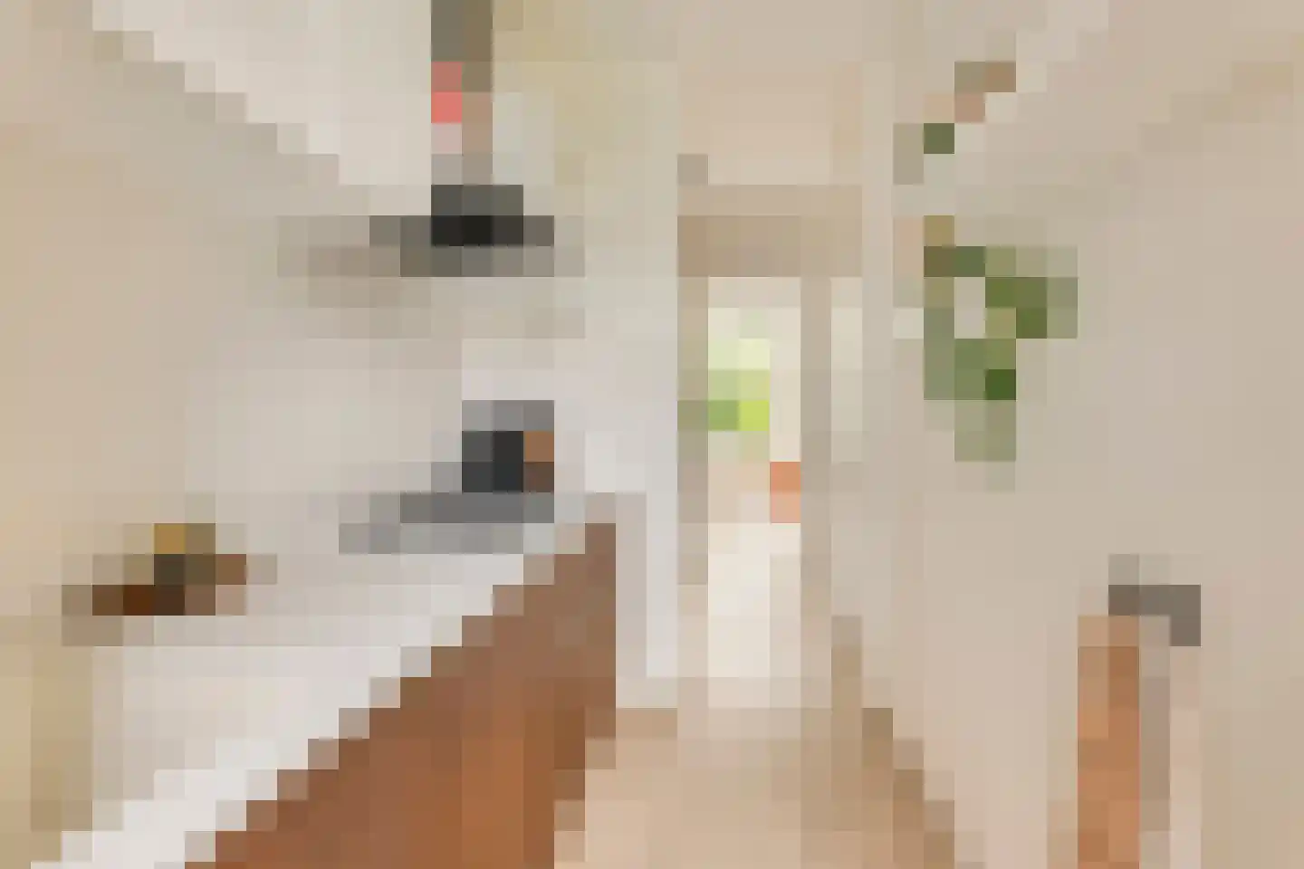 Jasper Leijnsenstraat 2 2 Amsterdam thumbnail 13