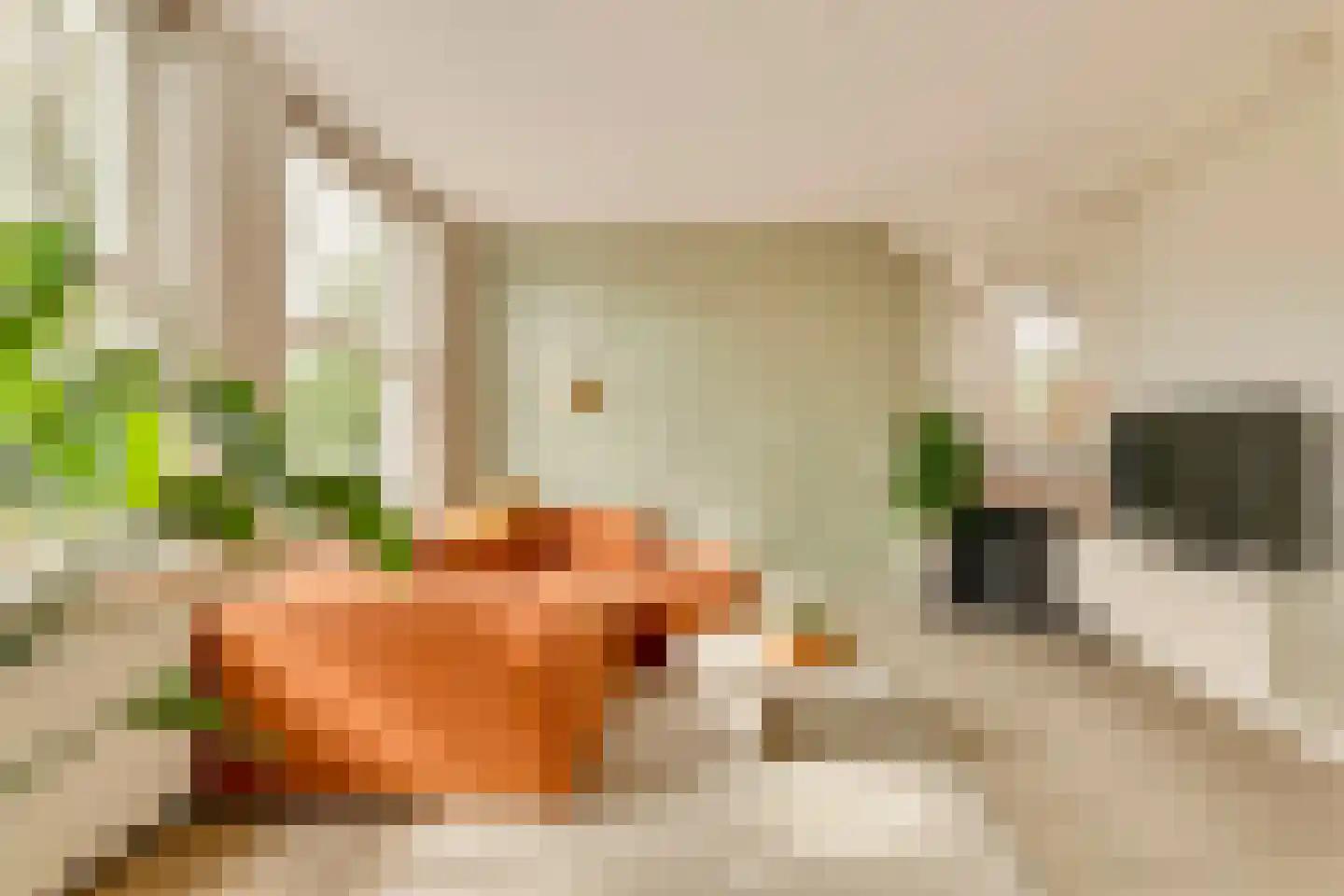 Jasper Leijnsenstraat 2 2 Amsterdam thumbnail 5