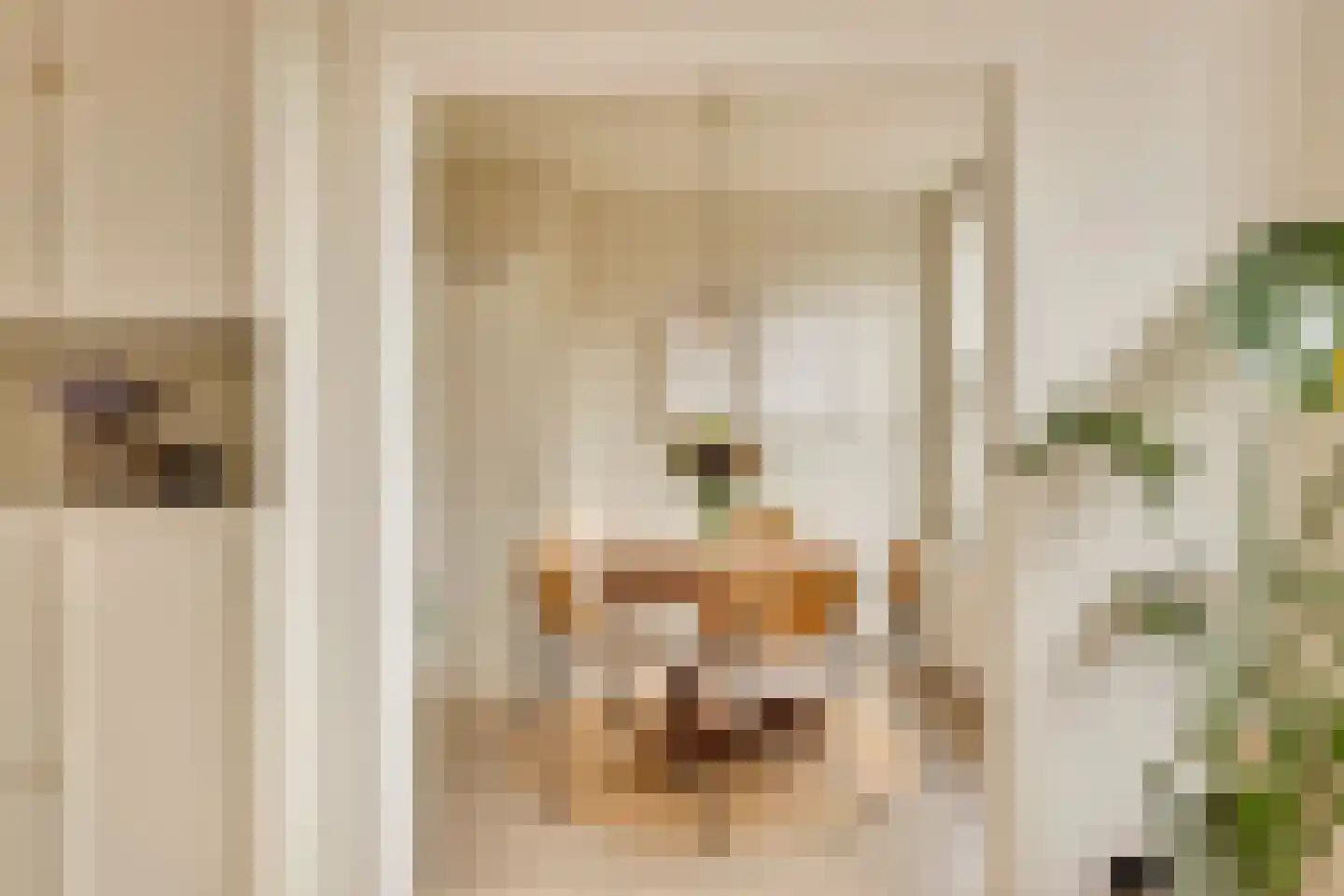 Jasper Leijnsenstraat 2 2 Amsterdam thumbnail 9