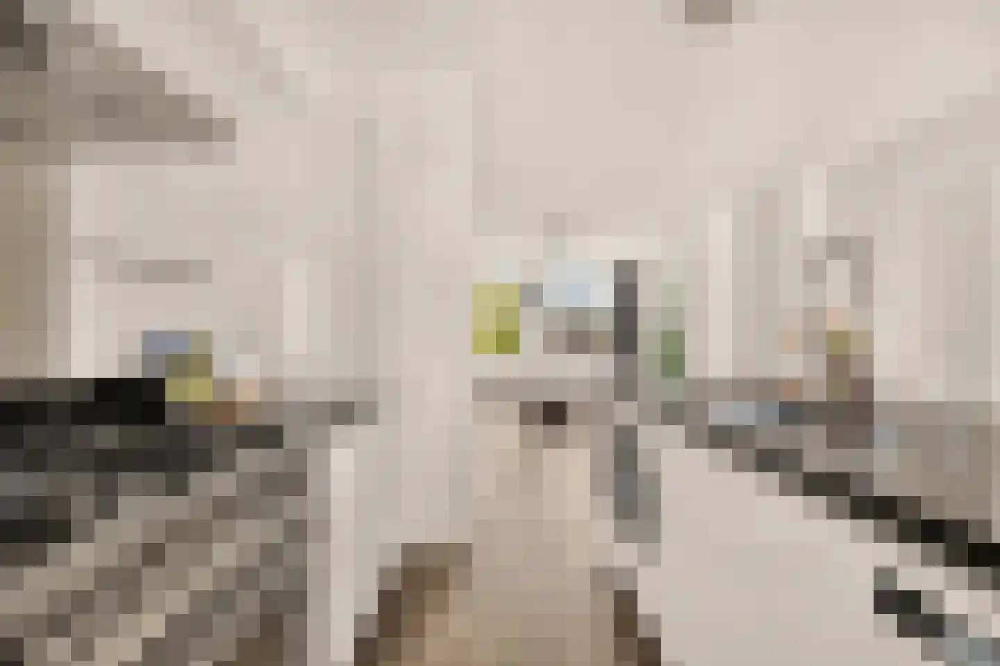 Jasper Leijnsenstraat 2 3 Amsterdam thumbnail 14