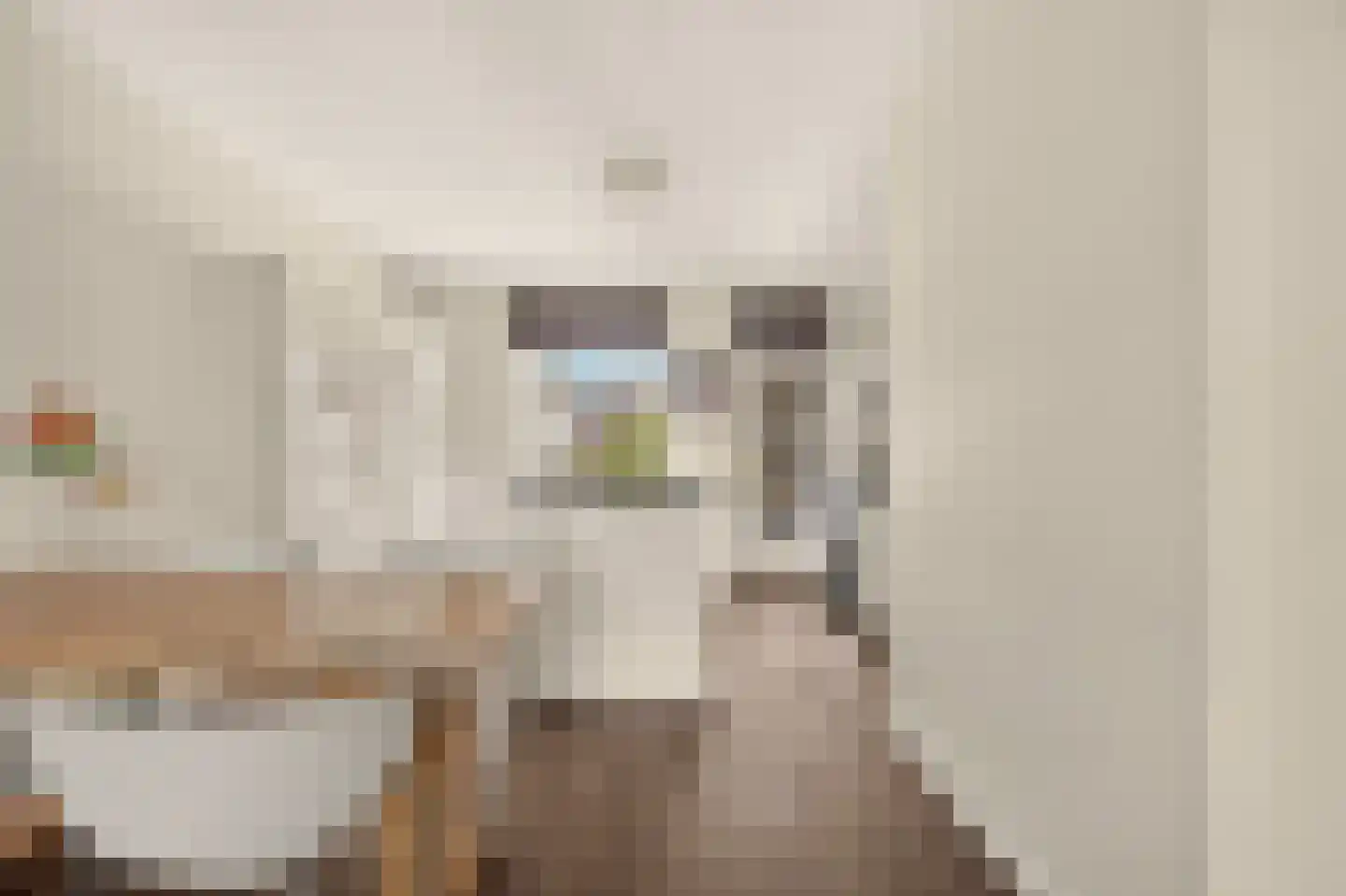 Jasper Leijnsenstraat 2 3 Amsterdam thumbnail 15