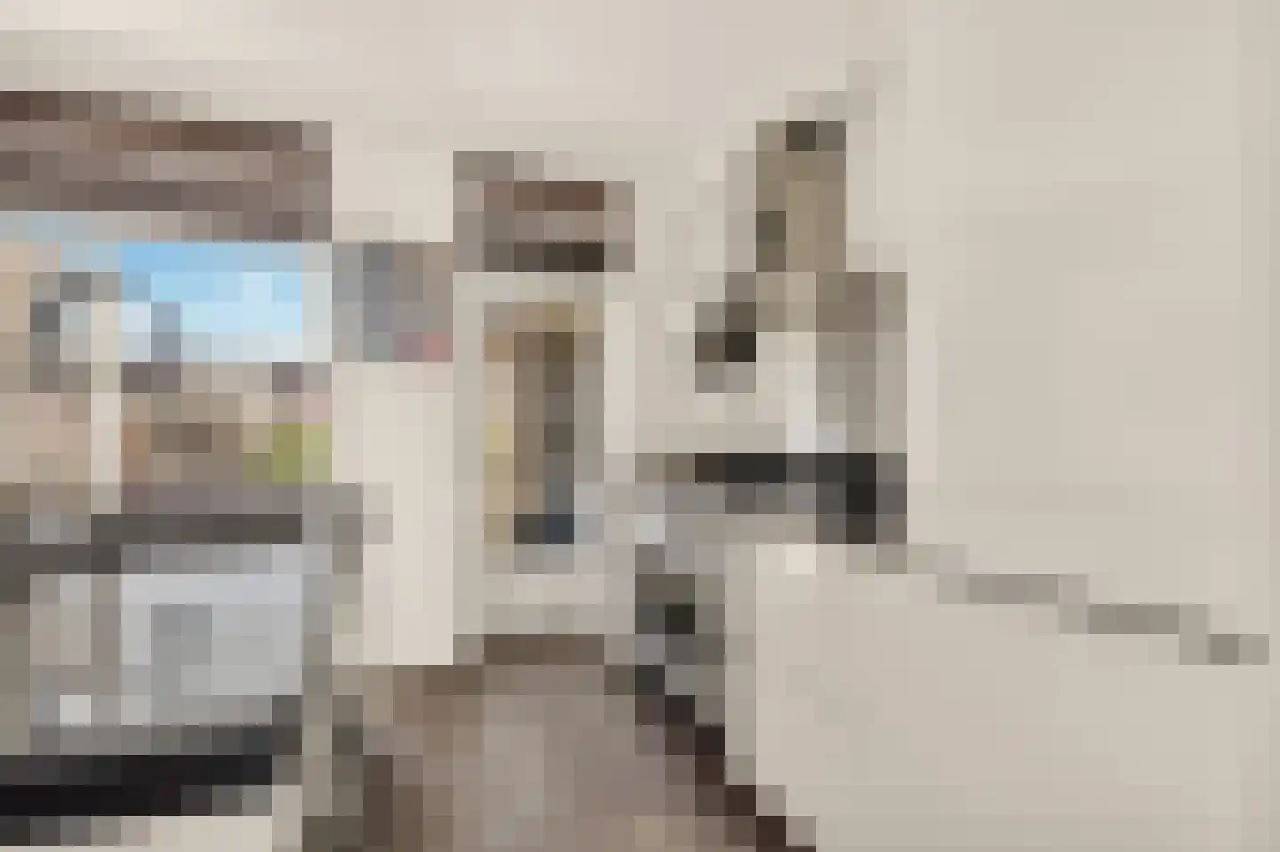 Jasper Leijnsenstraat 2 3 Amsterdam thumbnail 16