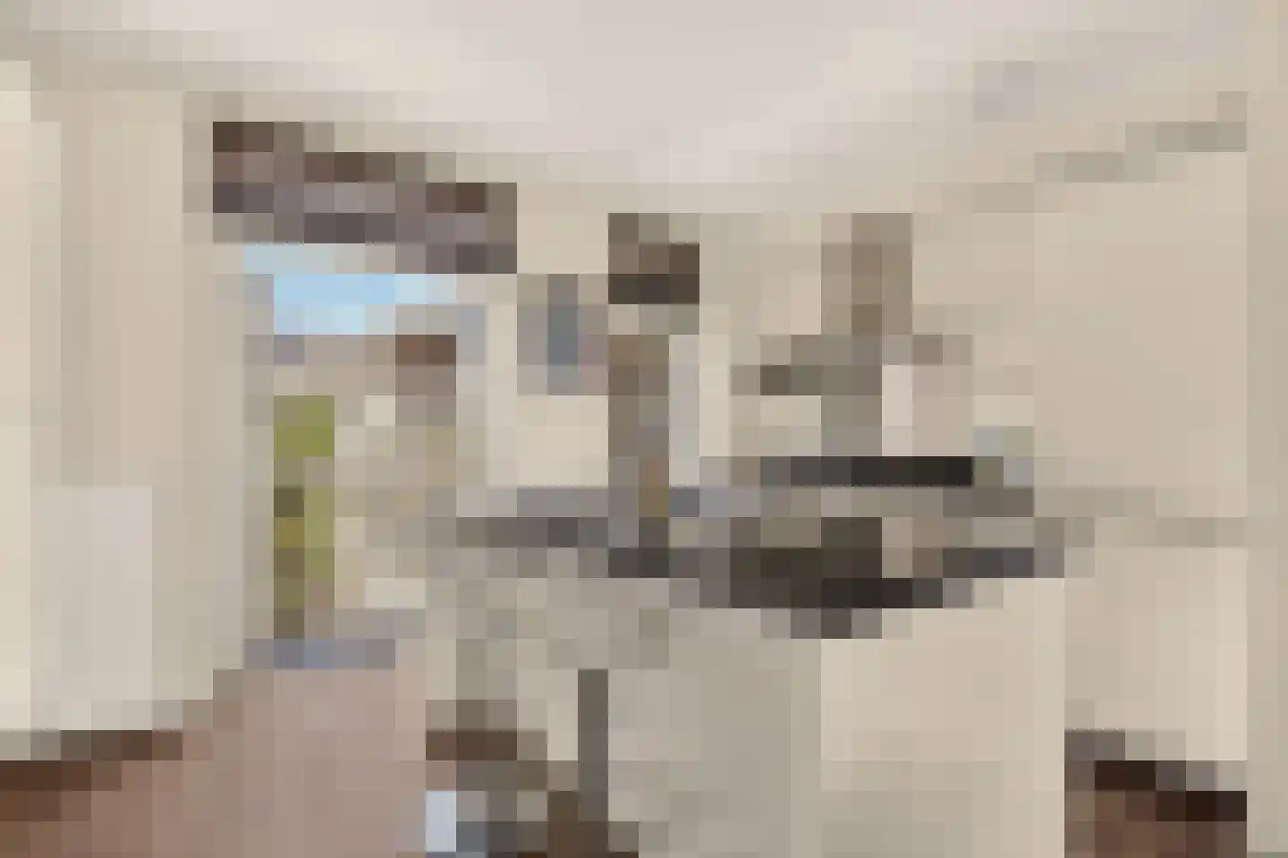 Jasper Leijnsenstraat 2 3 Amsterdam thumbnail 5