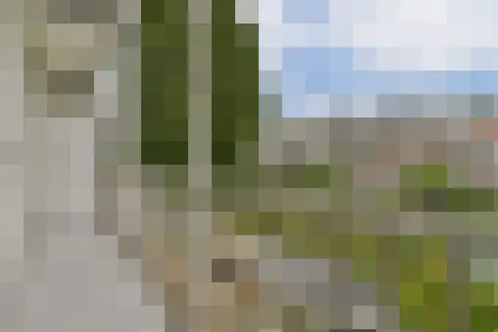 Jasper Leijnsenstraat 21 3 Amsterdam thumbnail 5