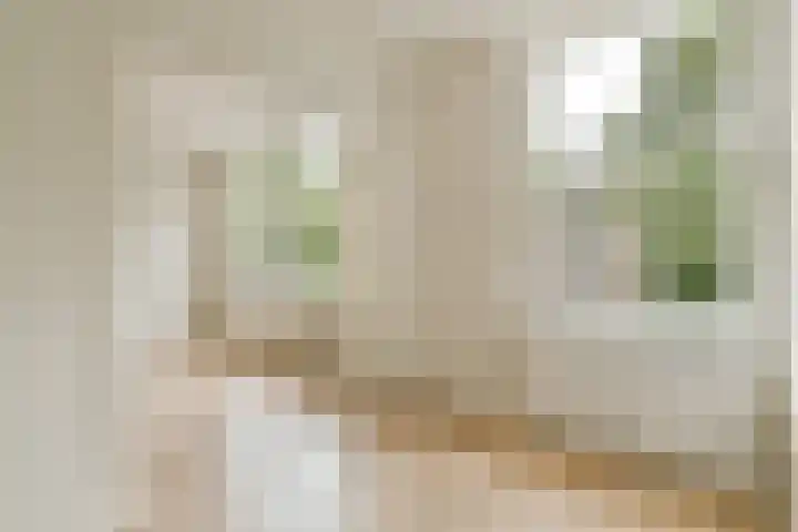 Jasper Leijnsenstraat 21 3 Amsterdam thumbnail 6
