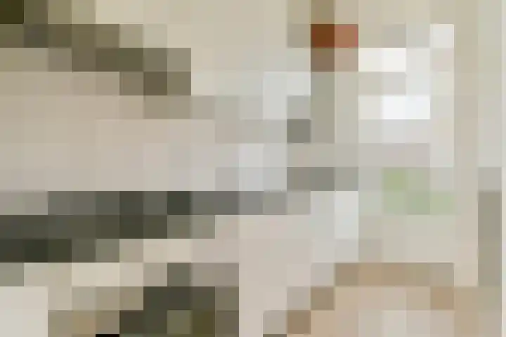 Jasper Leijnsenstraat 21 3 Amsterdam thumbnail 7