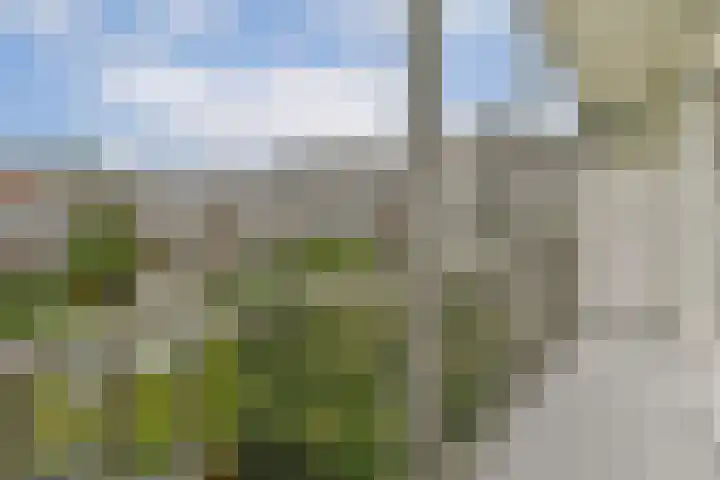 Jasper Leijnsenstraat 21 3 Amsterdam thumbnail 8