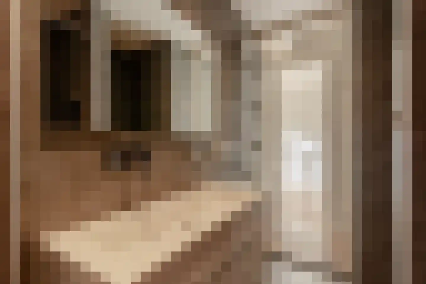 Jasper Leijnsenstraat 27 2 Amsterdam thumbnail 17