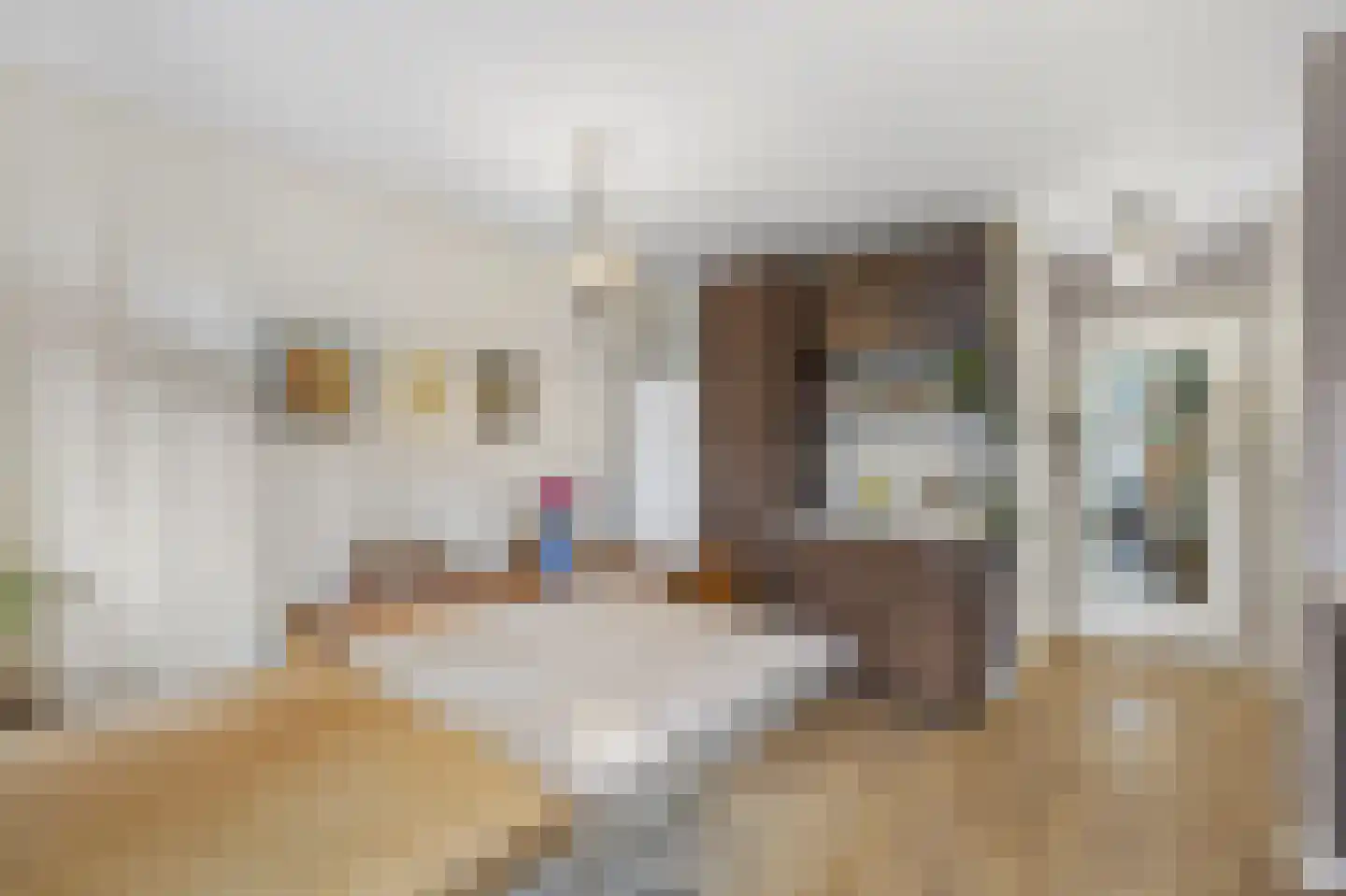 Jasper Leijnsenstraat 4 1 Amsterdam thumbnail 11