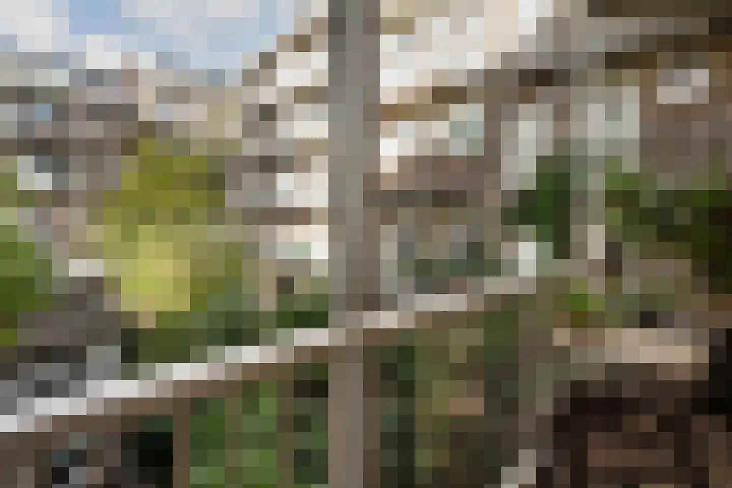 Jasper Leijnsenstraat 4 1 Amsterdam thumbnail 4