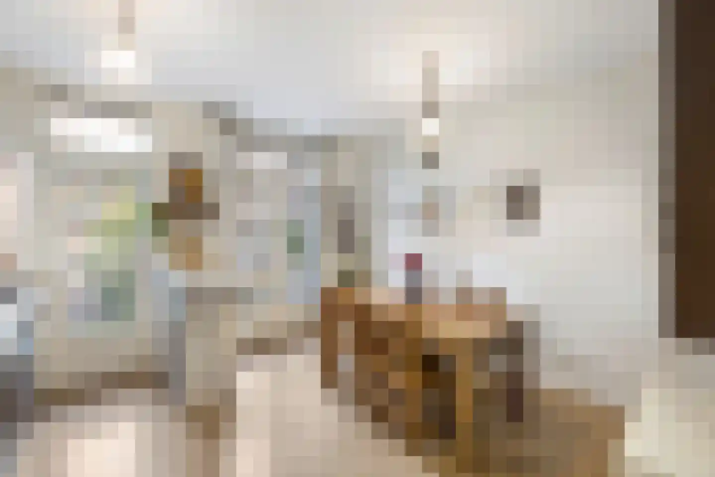 Jasper Leijnsenstraat 4 1 Amsterdam thumbnail 5