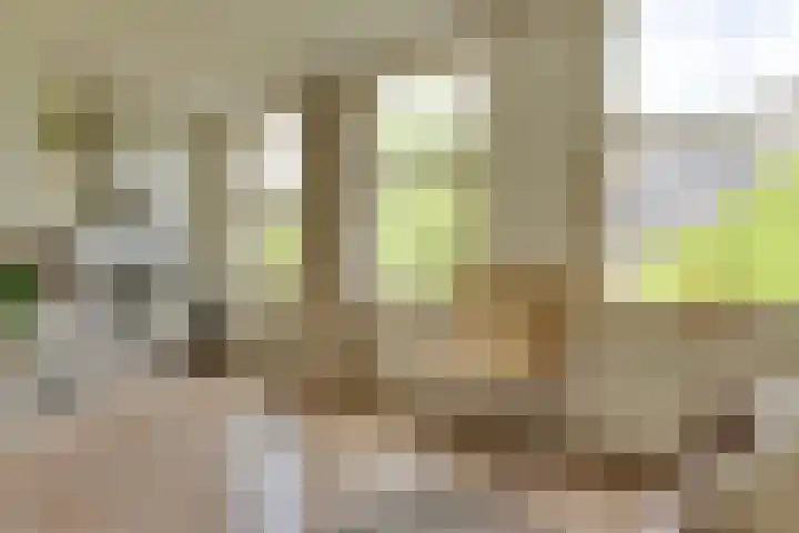 Jasper Leijnsenstraat 5 2 Amsterdam thumbnail 4