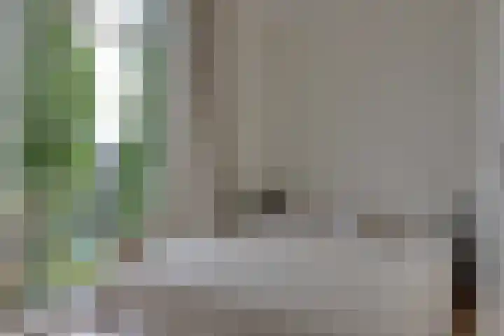 Jasper Leijnsenstraat 5 2 Amsterdam thumbnail 5
