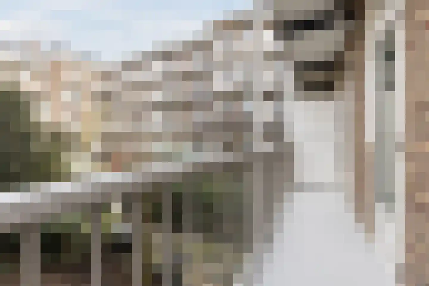 Jasper Leijnsenstraat 6 1 Amsterdam thumbnail 17