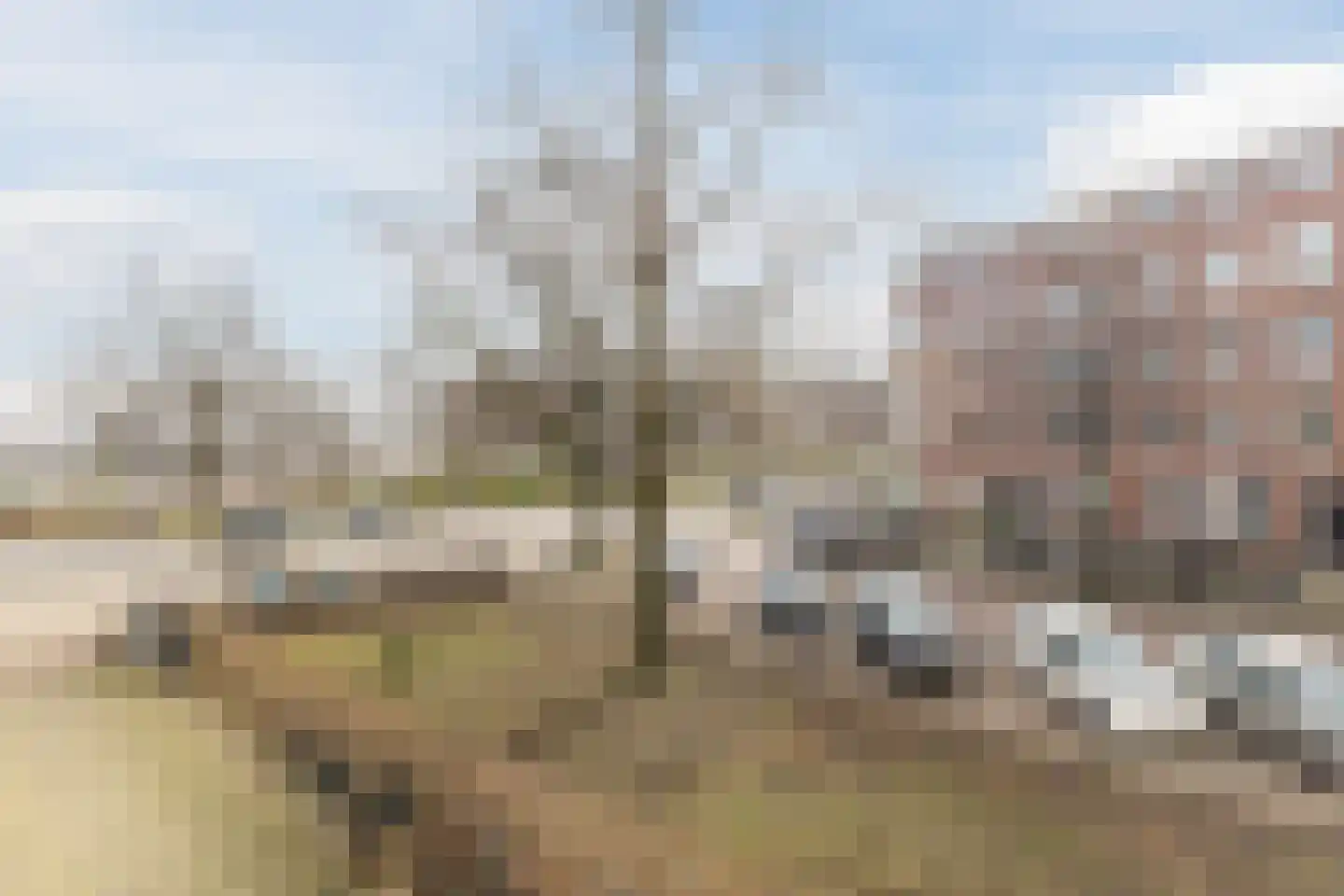 Jasper Leijnsenstraat 6 1 Amsterdam thumbnail 21