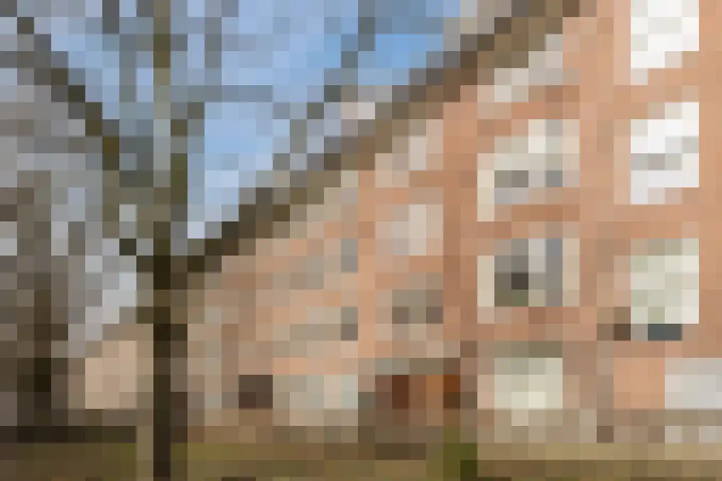Jasper Leijnsenstraat 6 1 Amsterdam thumbnail 5