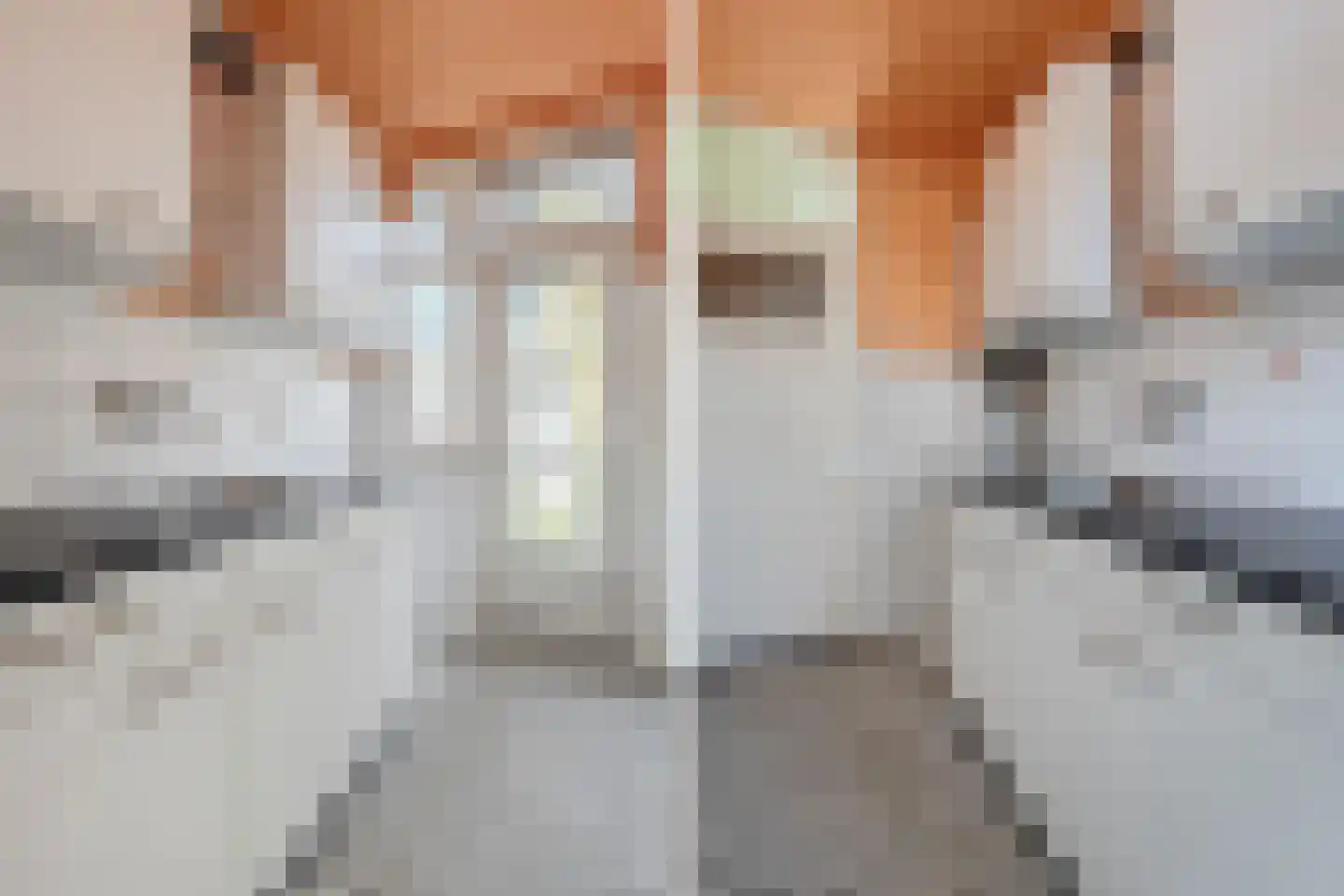 Jasper Leijnsenstraat 8 2 Amsterdam thumbnail 4