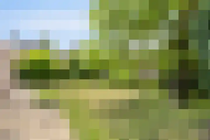 Jaspersstraat 1 Veldhoven thumbnail 25