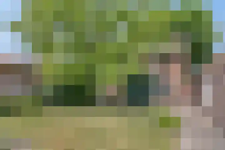 Jaspersstraat 1 Veldhoven thumbnail 26