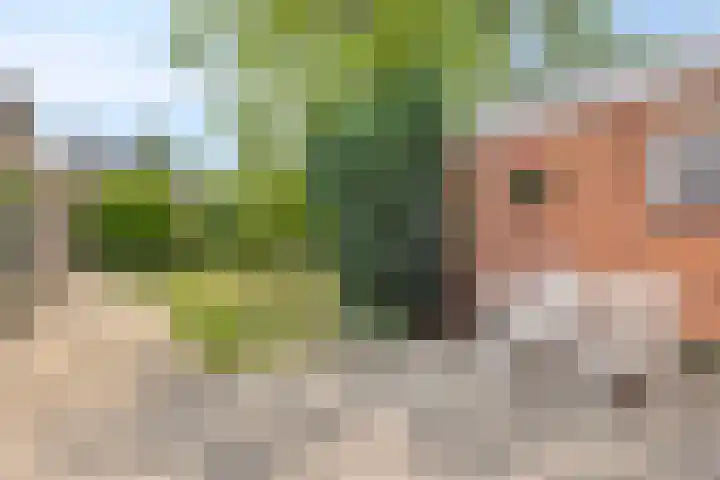 Jaspersstraat 1 Veldhoven thumbnail 28