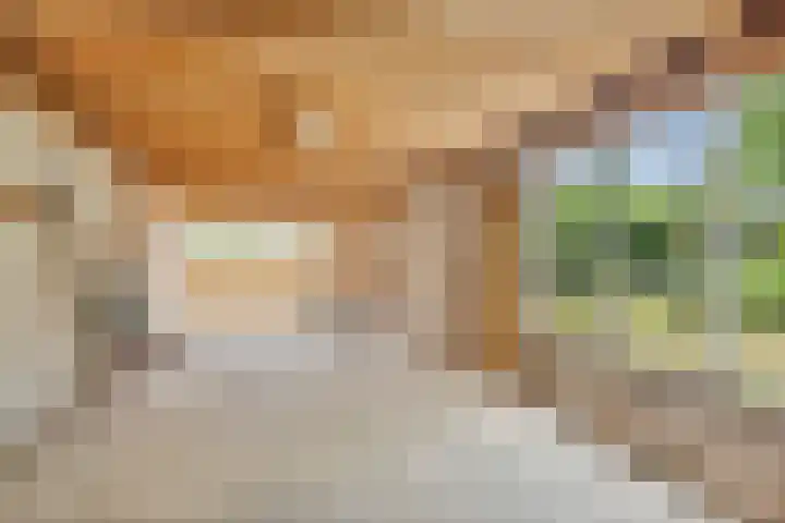 Jaspersstraat 1 Veldhoven thumbnail 31