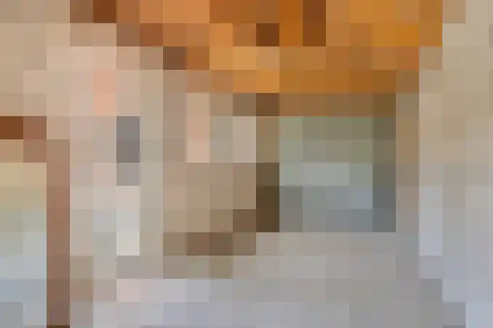 Jaspersstraat 1 Veldhoven thumbnail 32