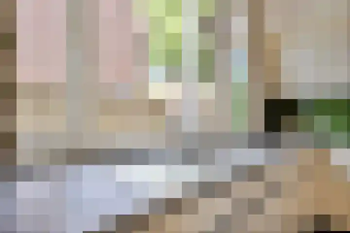 Jaspersstraat 1 Veldhoven thumbnail 9
