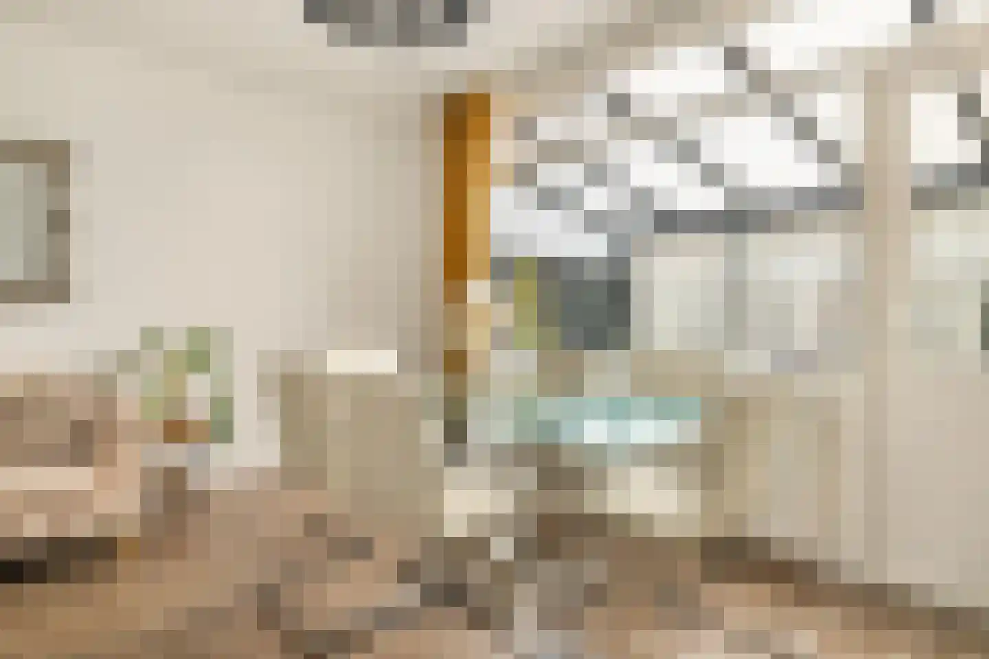 Jaspersstraat 35 Zaandam thumbnail 13
