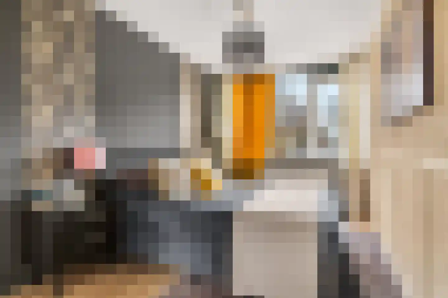 Jaspersstraat 35 Zaandam thumbnail 30