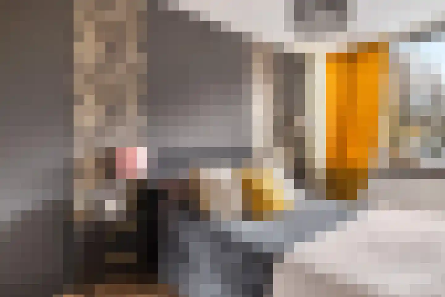 Jaspersstraat 35 Zaandam thumbnail 31