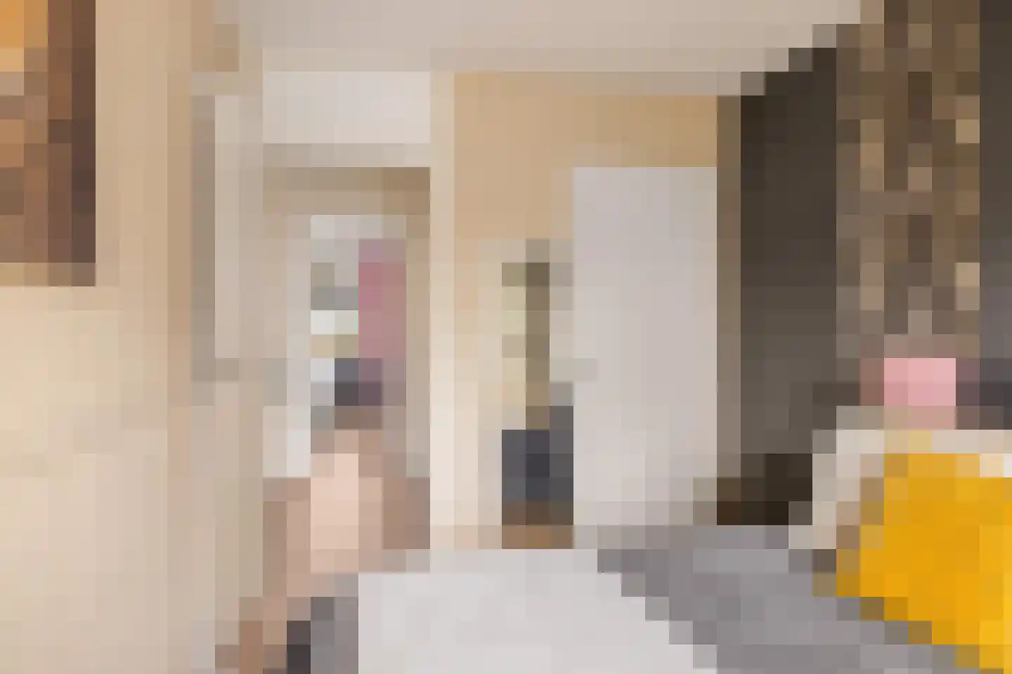 Jaspersstraat 35 Zaandam thumbnail 33