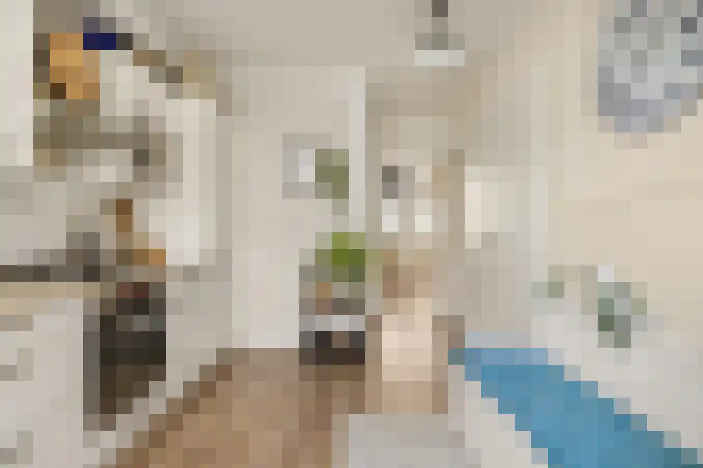 Jaspersstraat 35 Zaandam thumbnail 4