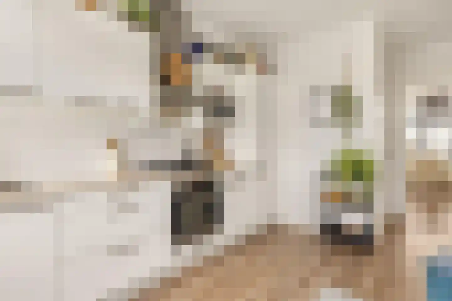 Jaspersstraat 35 Zaandam thumbnail 5