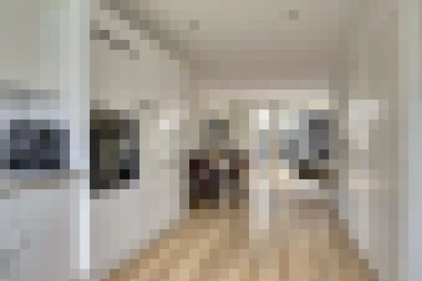 Jaspersstraat 79 Zaandam thumbnail 16
