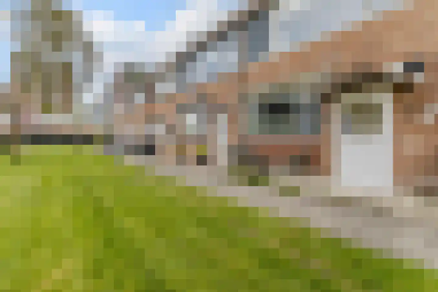 Jaspersstraat 83 Zaandam thumbnail 34