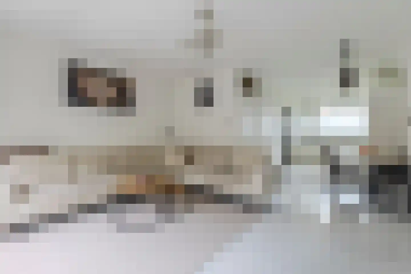 Jaspersstraat 83 Zaandam thumbnail 4