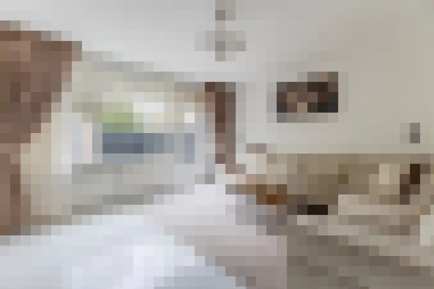 Jaspersstraat 83 Zaandam thumbnail 6