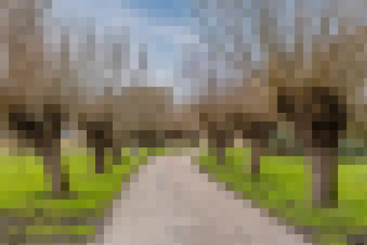 Jaspersstraat 85 Zaandam thumbnail 36