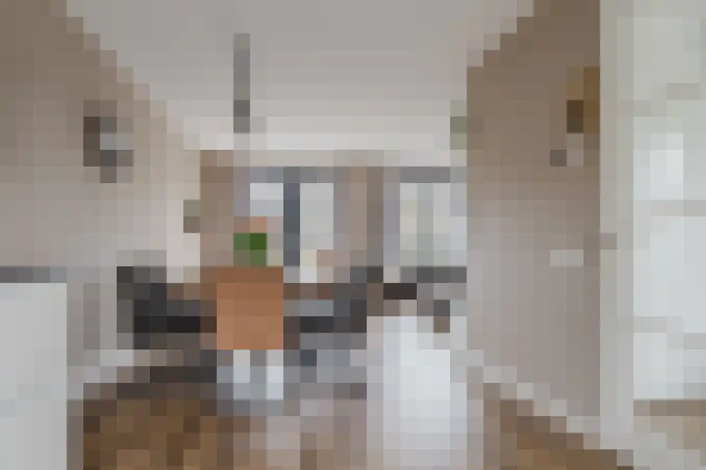 Jaspis 6 Drachten thumbnail 11