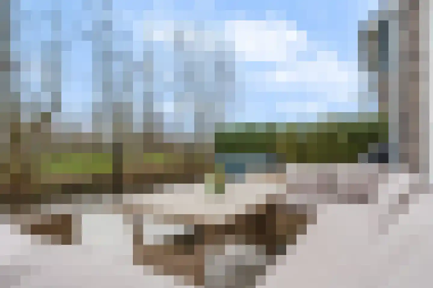 Jaspis 6 Drachten thumbnail 16