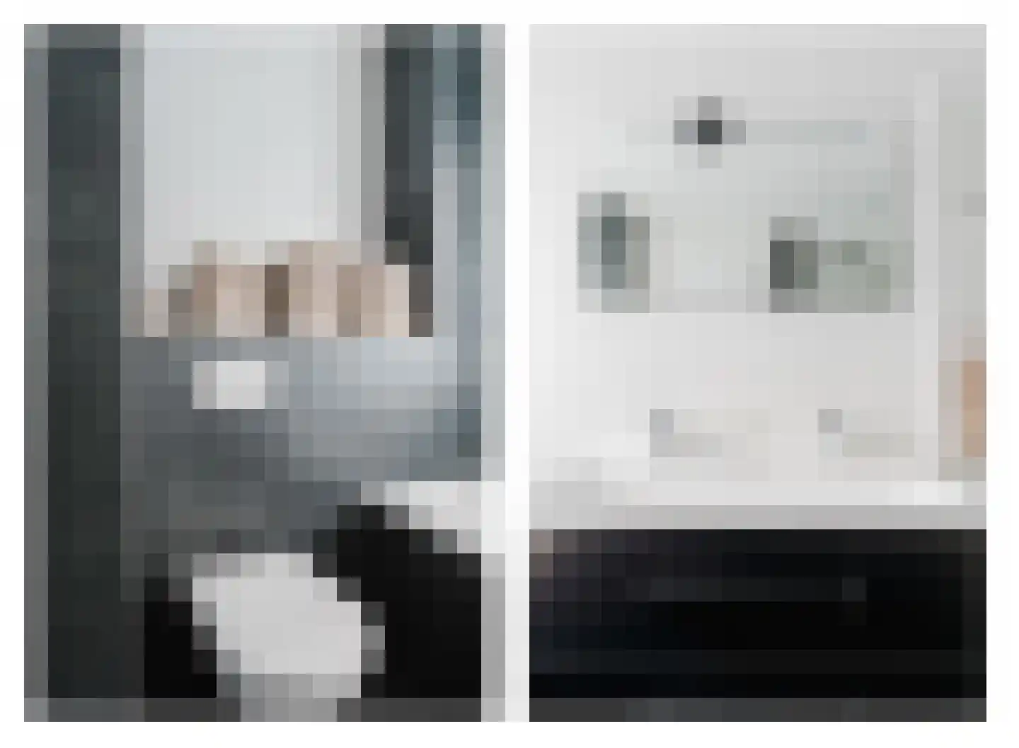 Jaspis 6 Drachten thumbnail 21