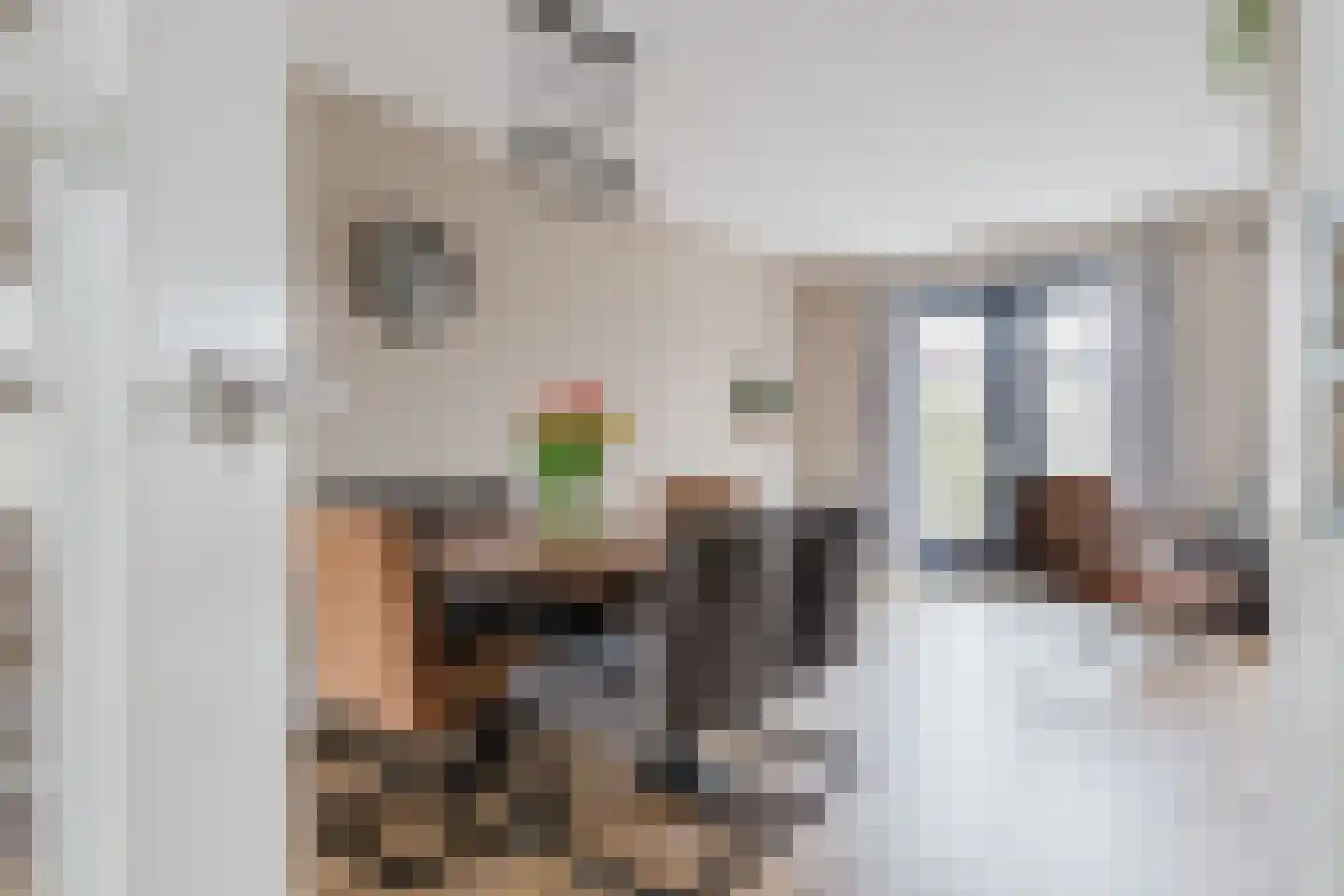 Jaspis 6 Drachten thumbnail 5